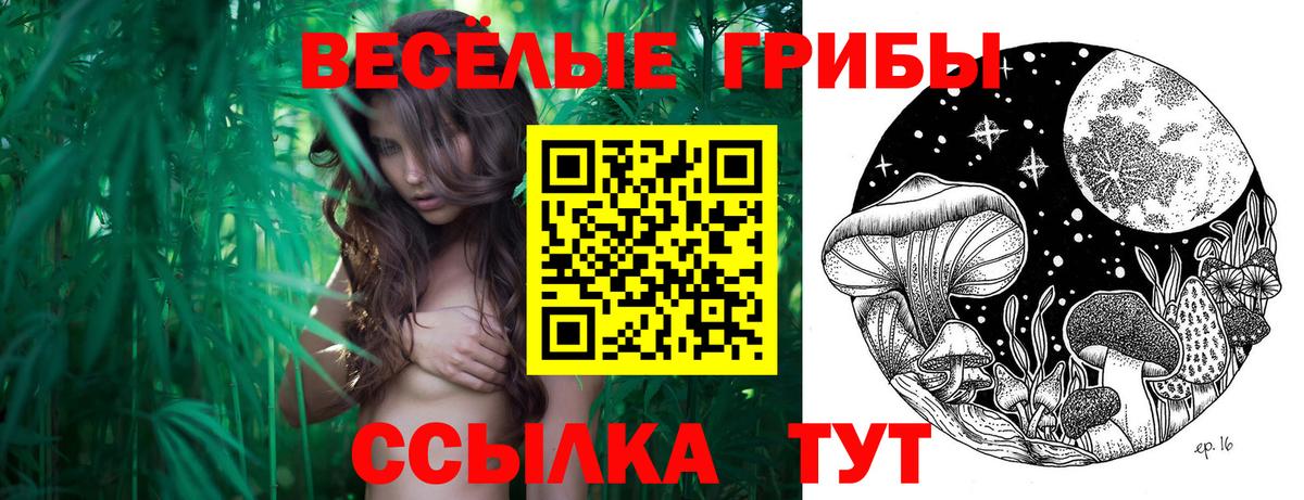 Псилоцибиновые грибы MAGIC MUSHROOMS  Вход с VPN  Галлюциногенные грибы Psilocybe  Котовск 